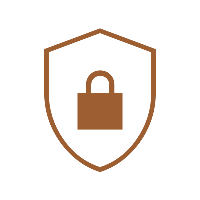 shield_lock_200dp_9D5F31FF_FILL0_wght100_GRAD0_opsz48